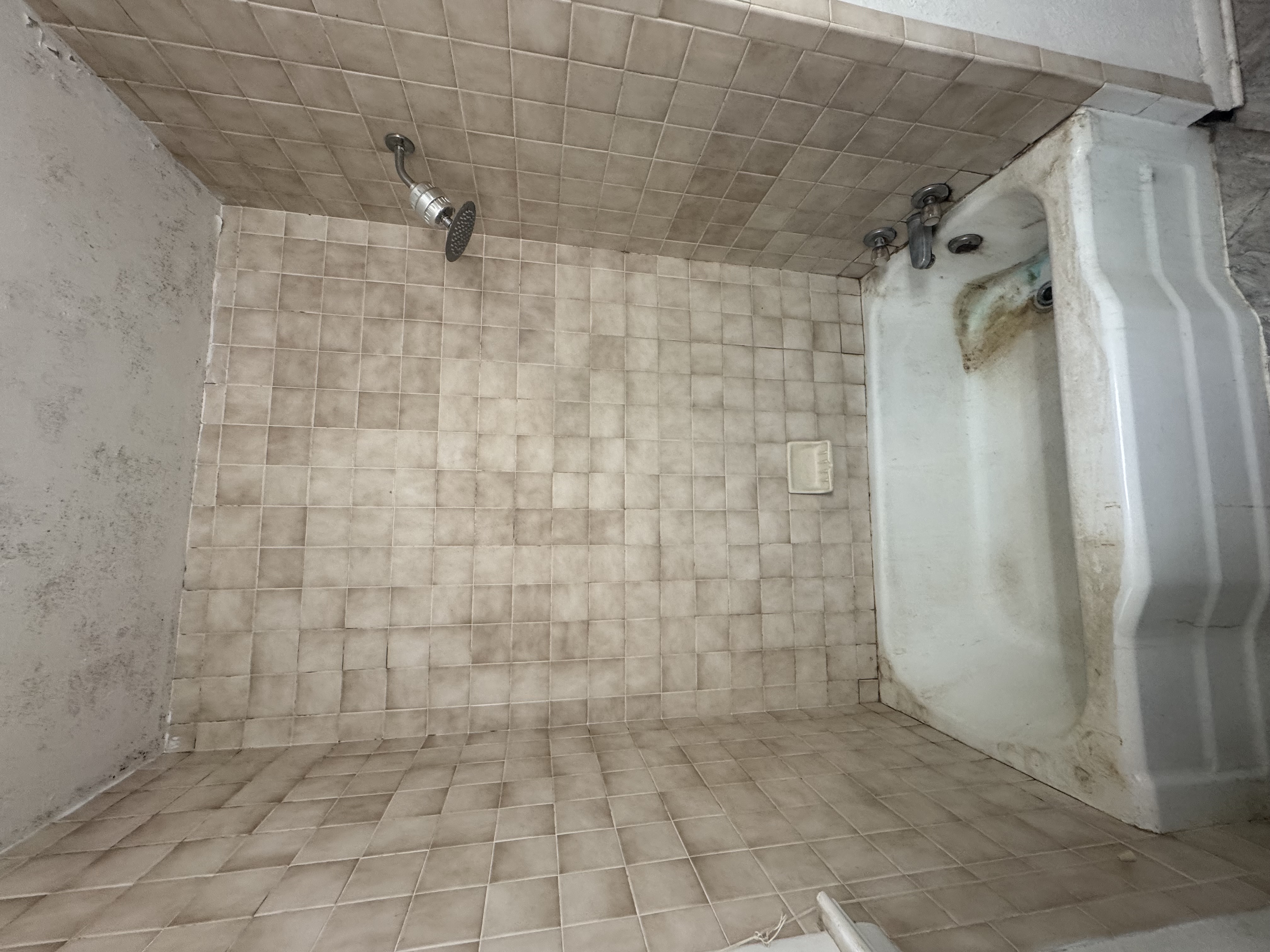 Bathtub before ShowerCraft conversion